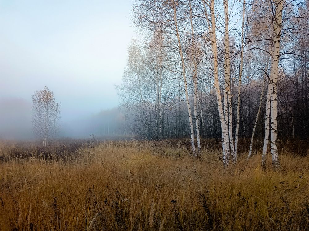 Photograph by Кондрашова Светлана