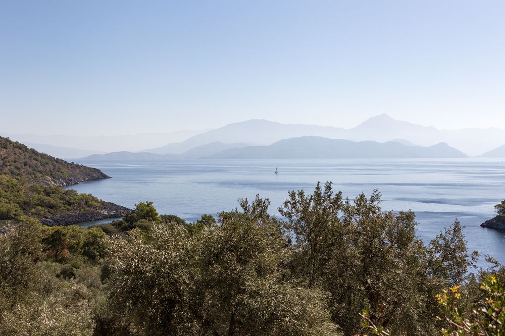 Photograph by Евгений Фонин