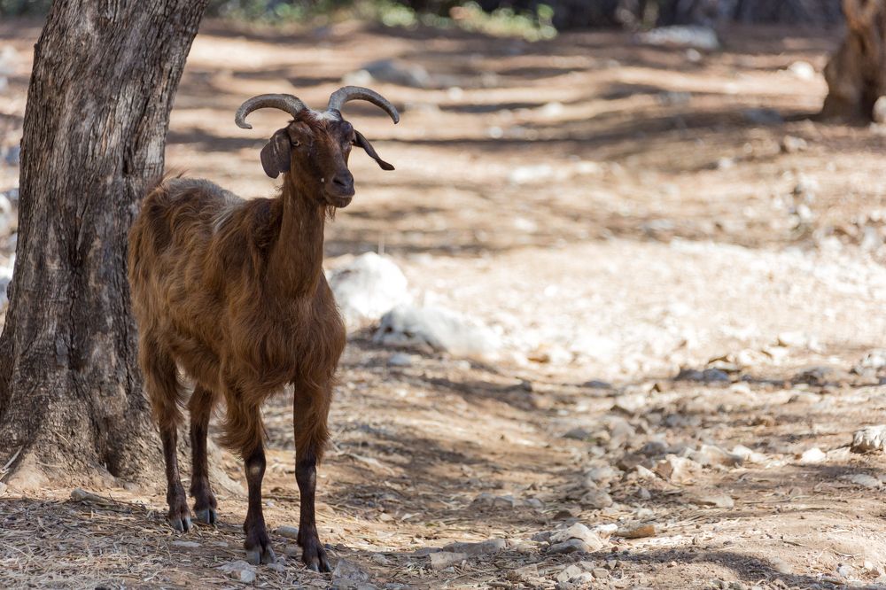Photograph by Евгений Фонин