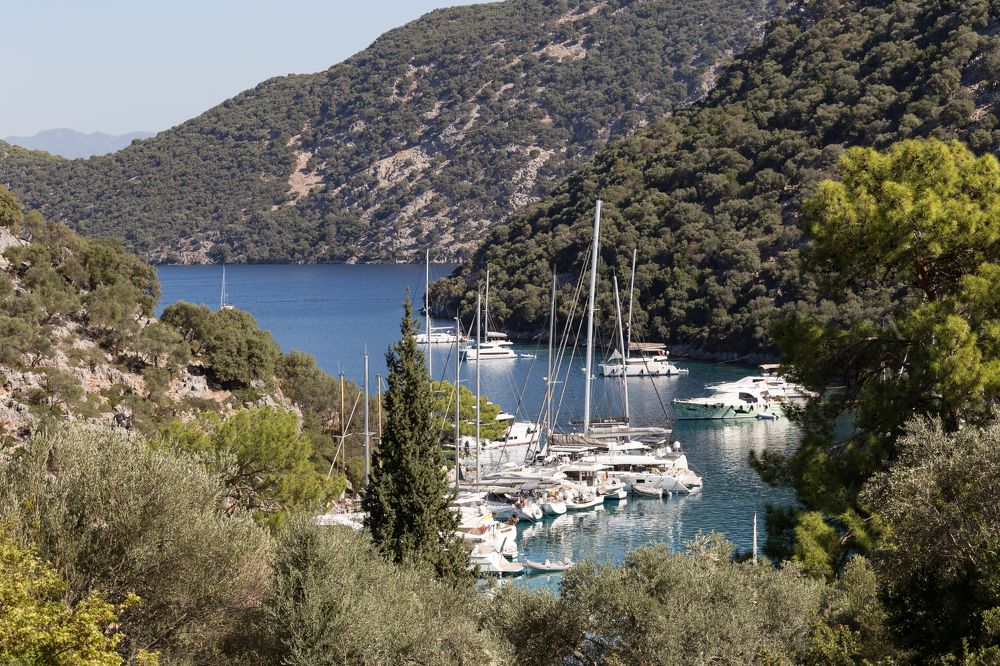 Photograph by Евгений Фонин