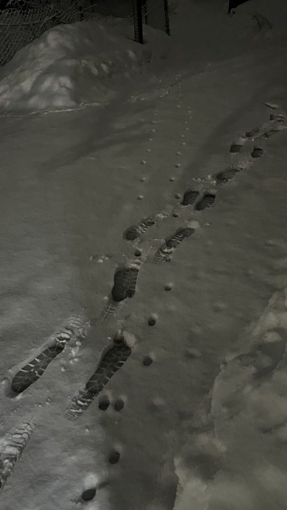 Photograph by Светлана Родионова