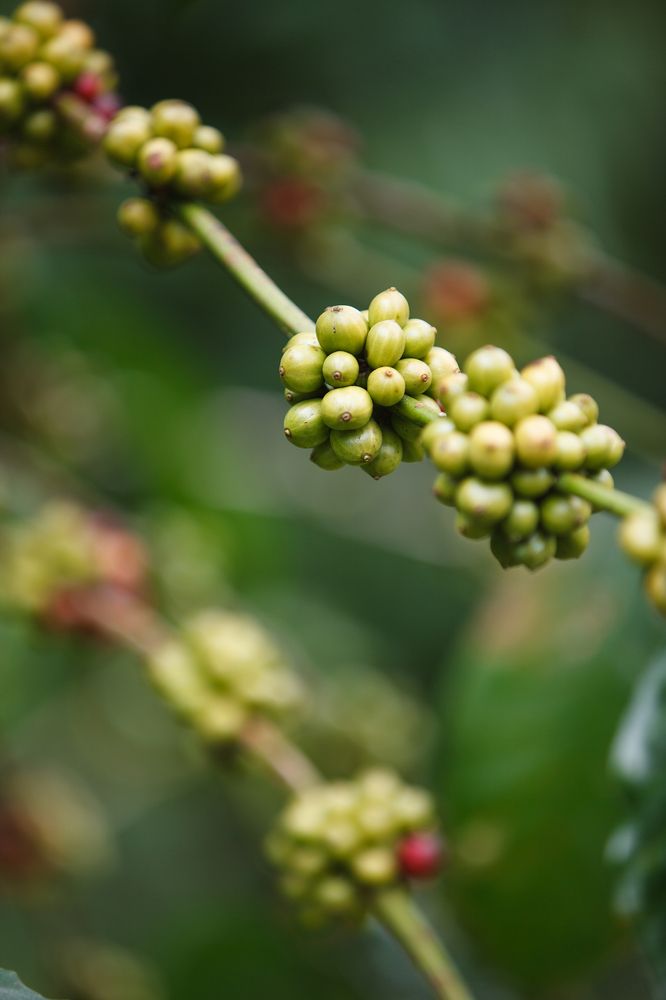 Photograph by Александр Сафронов