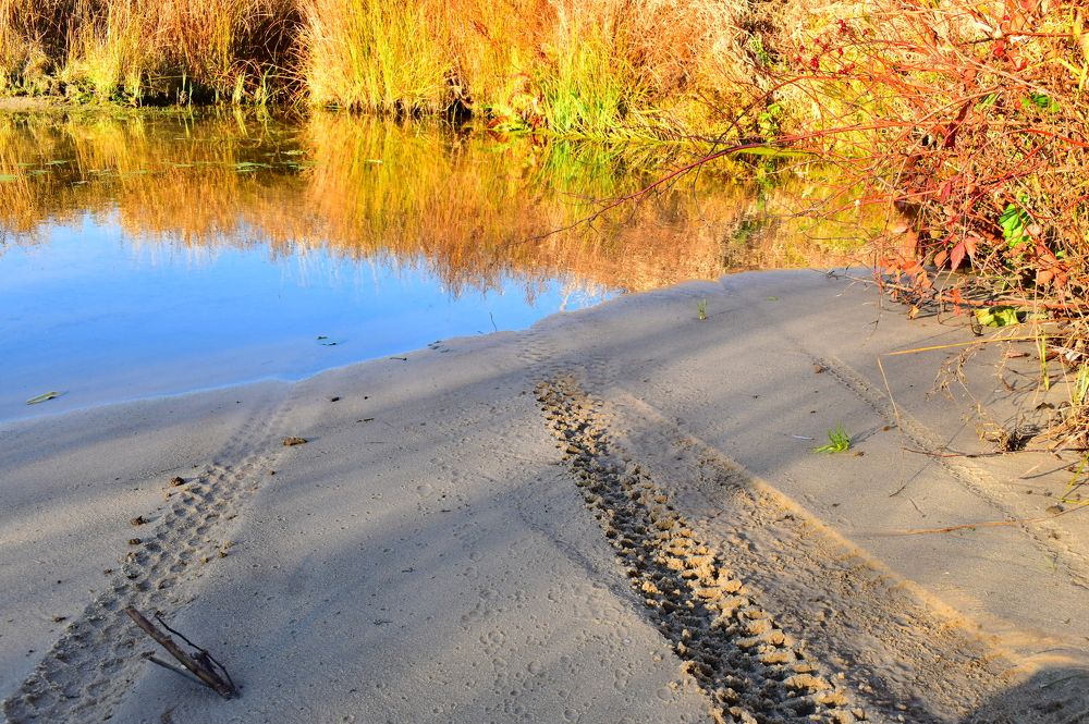 Photograph by Николай Абакумов