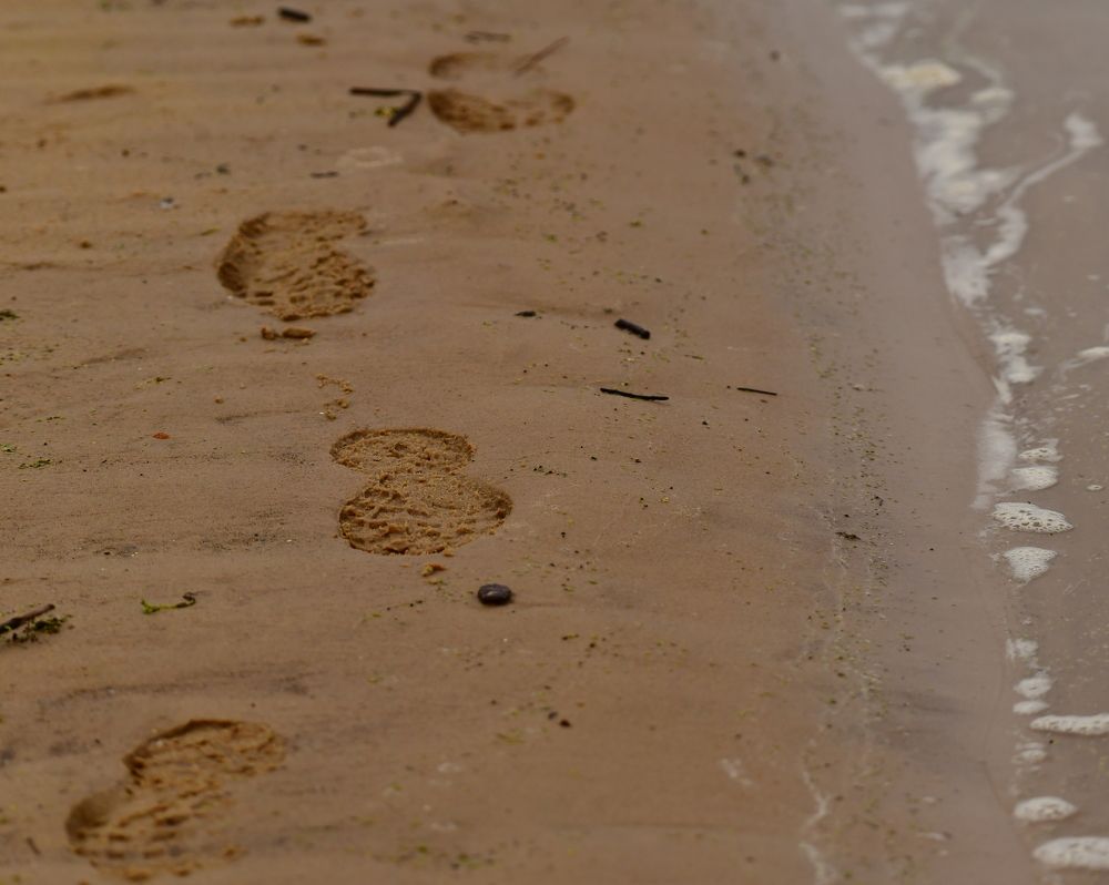 Photograph by Николай Абакумов