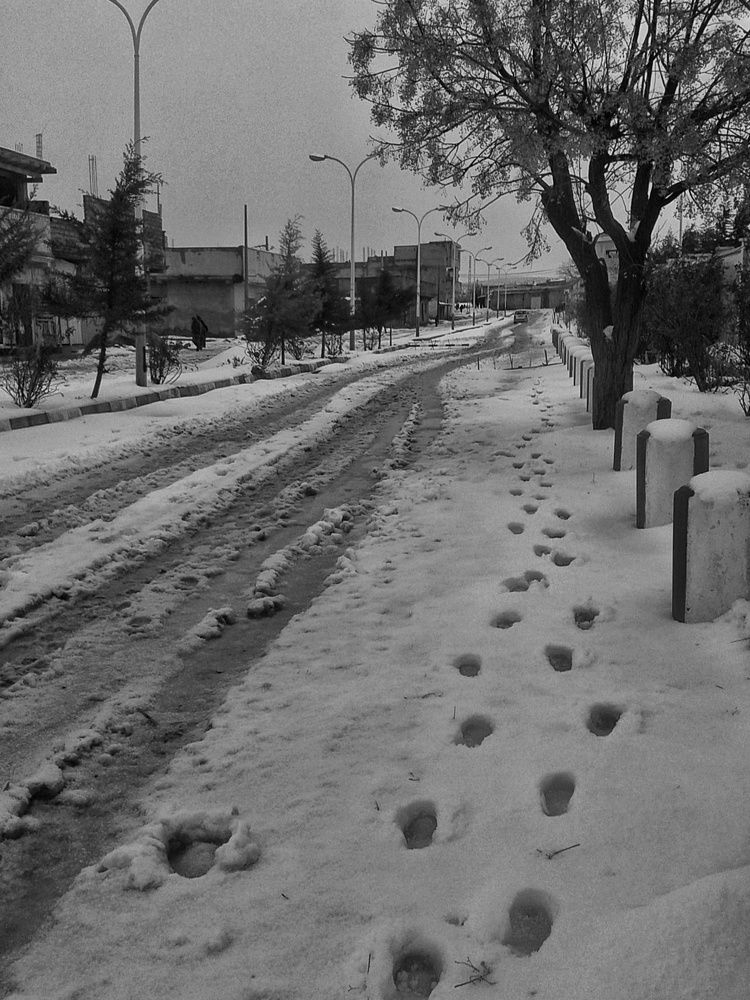 Photograph by Azzeddine Memmou