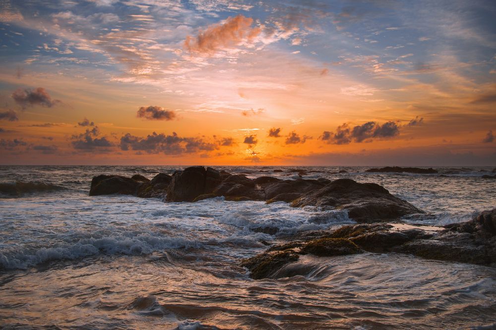 Photograph by Элен Пройс