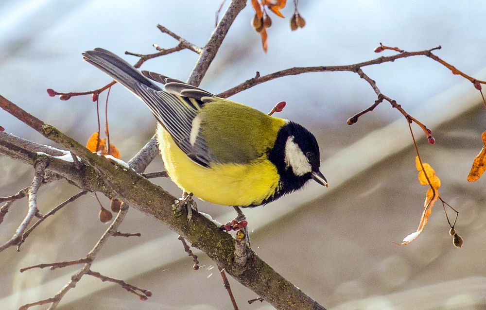 Photograph by Дария Ризниченко