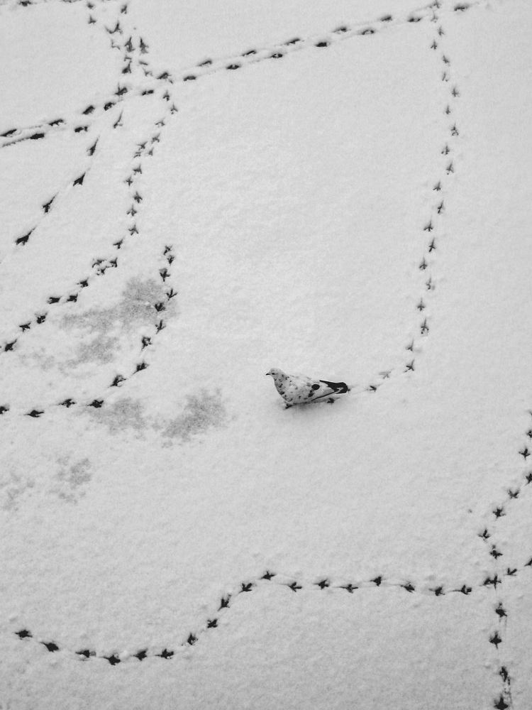 Photograph by Дьяченко Алёна