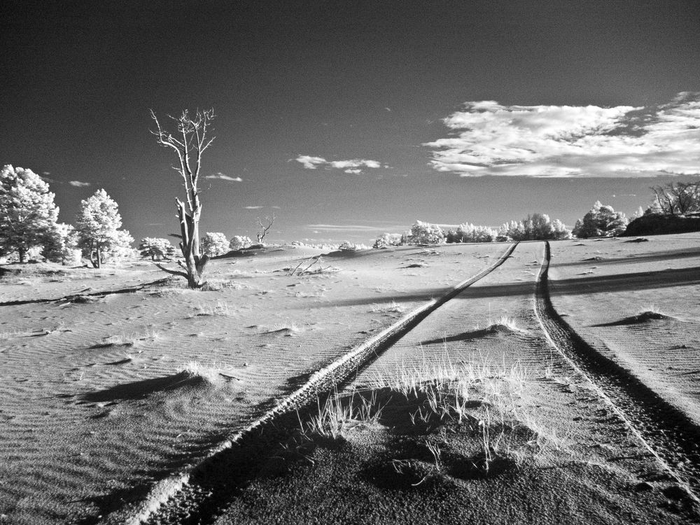 Photograph by Ольга Аристова