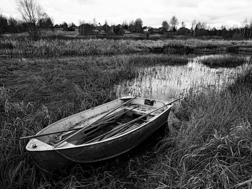 Photograph by Юлия Локалова