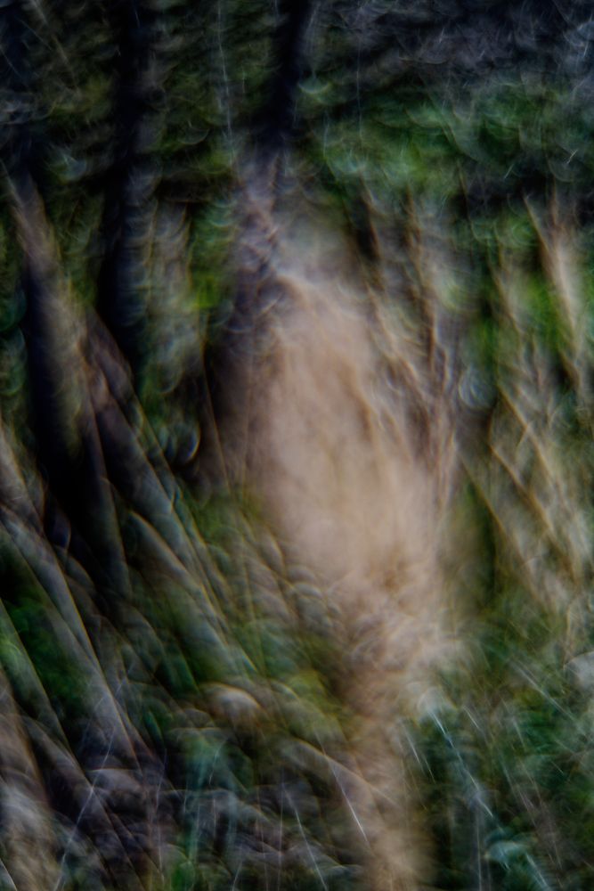 Photograph by Aleksei Degtjarjov