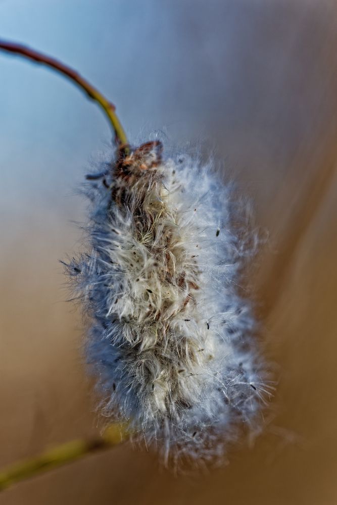 Photograph by Aleksei Degtjarjov