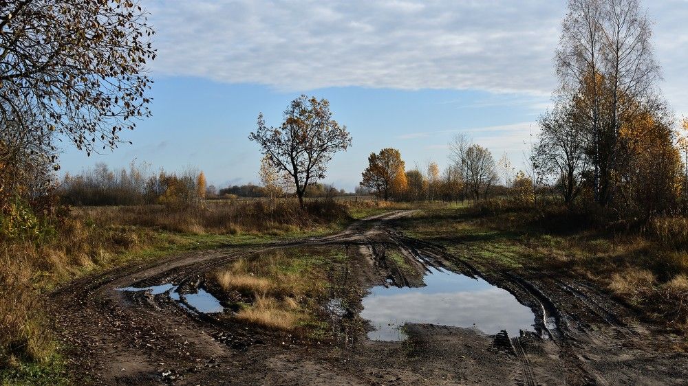 После дождя