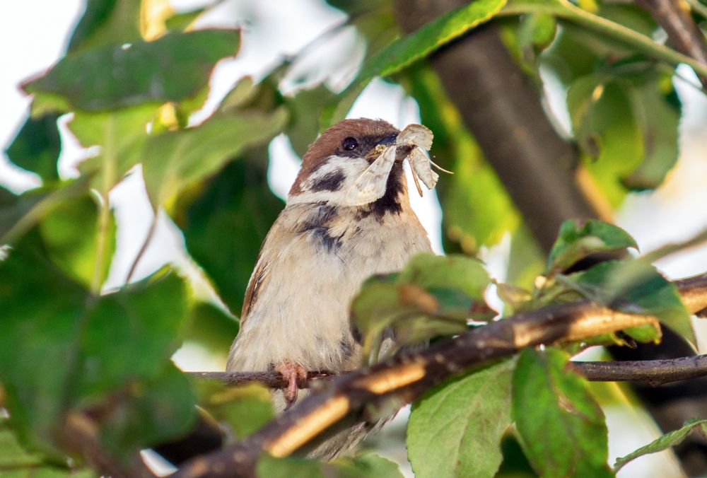 Photograph by Дария Ризниченко
