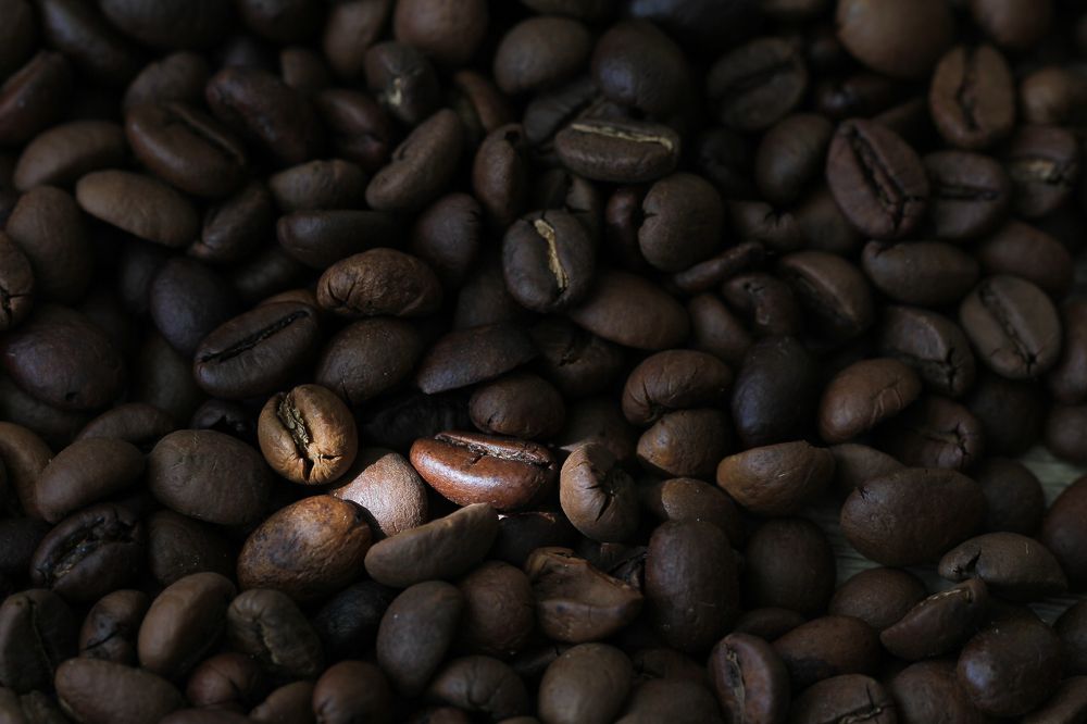 Photograph by Yana Pitchuzhkin