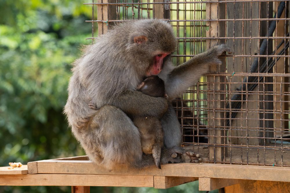 Photograph by Лейла Матар