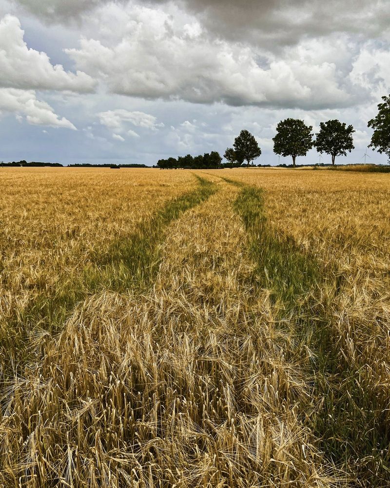 Photograph by Marina Odintsova