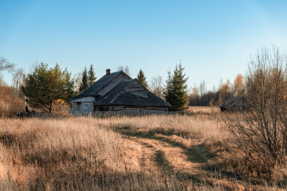 Photograph by Елена Ефимова