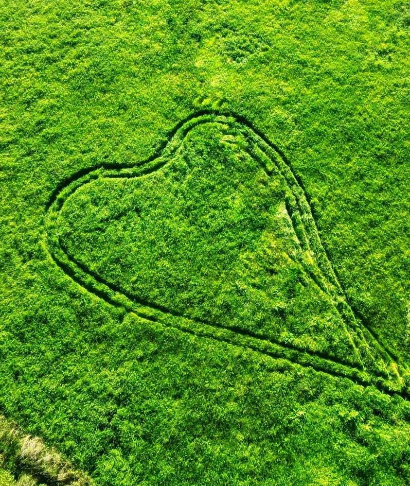 Photograph by Oksana Smorodina