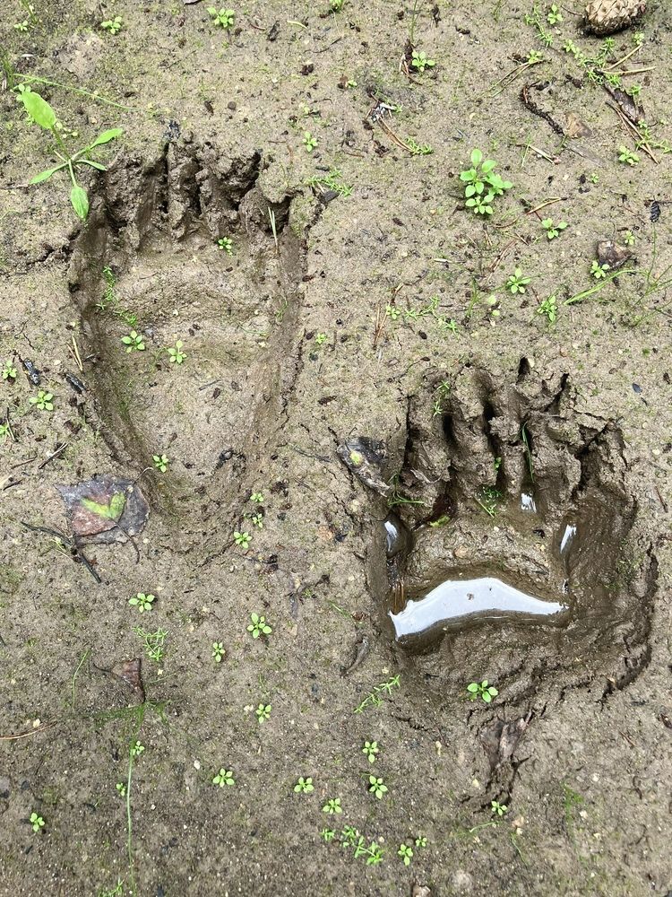 Photograph by Елена Симонова