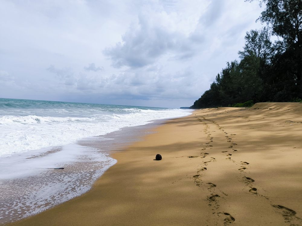 Photograph by Елена Симонова