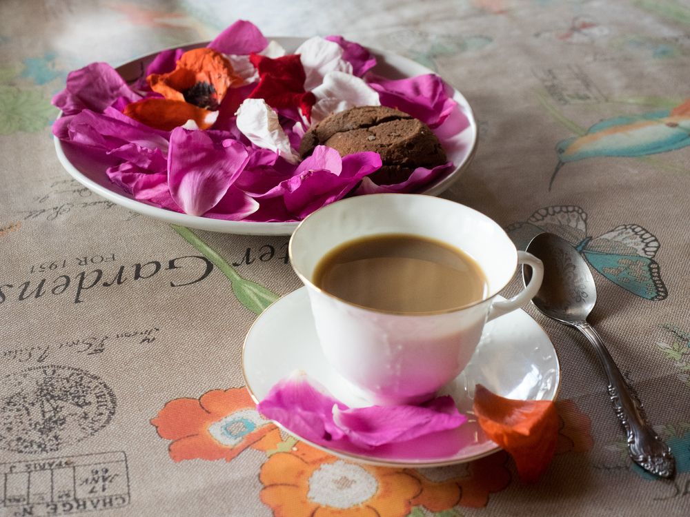 Photograph by Руслан Гончар