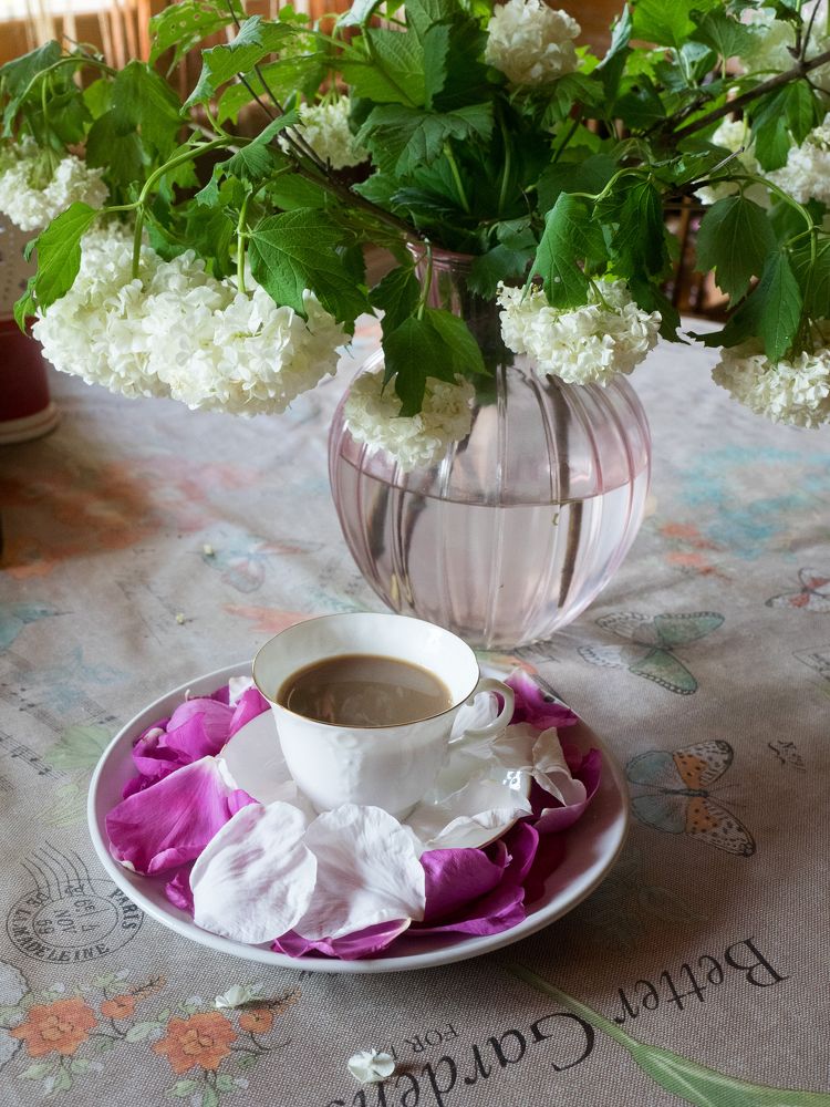 Photograph by Руслан Гончар