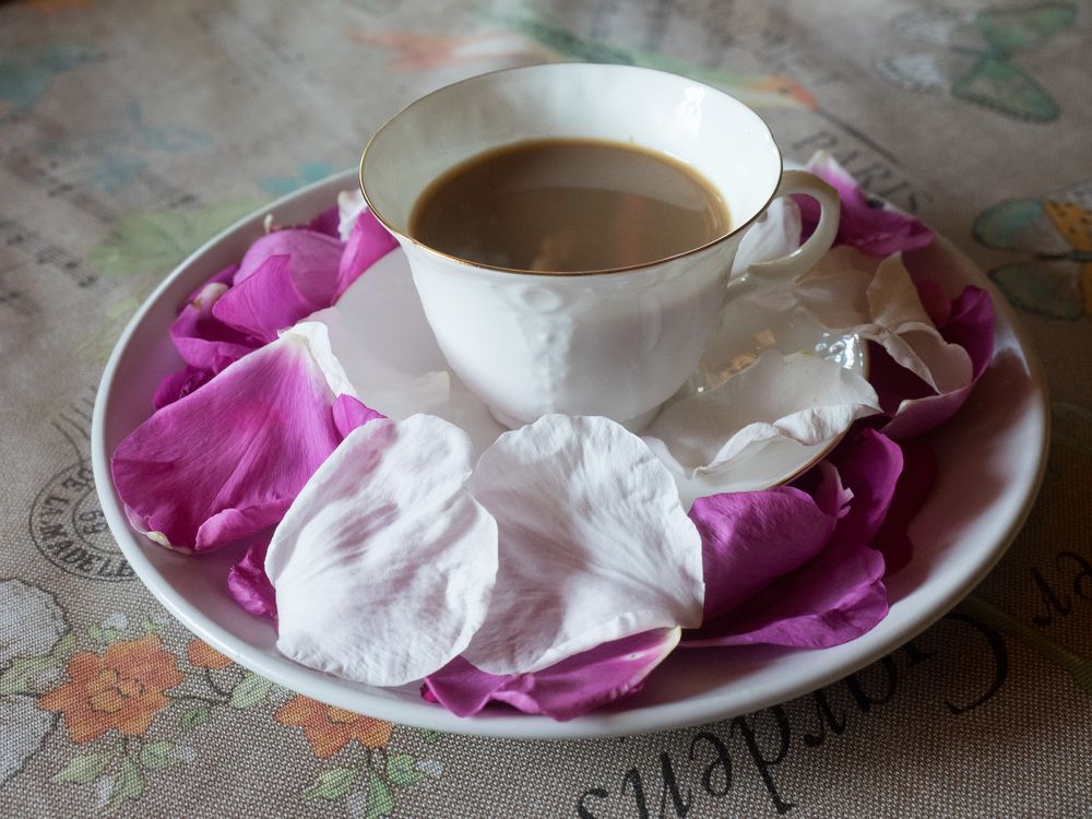 Photograph by Руслан Гончар