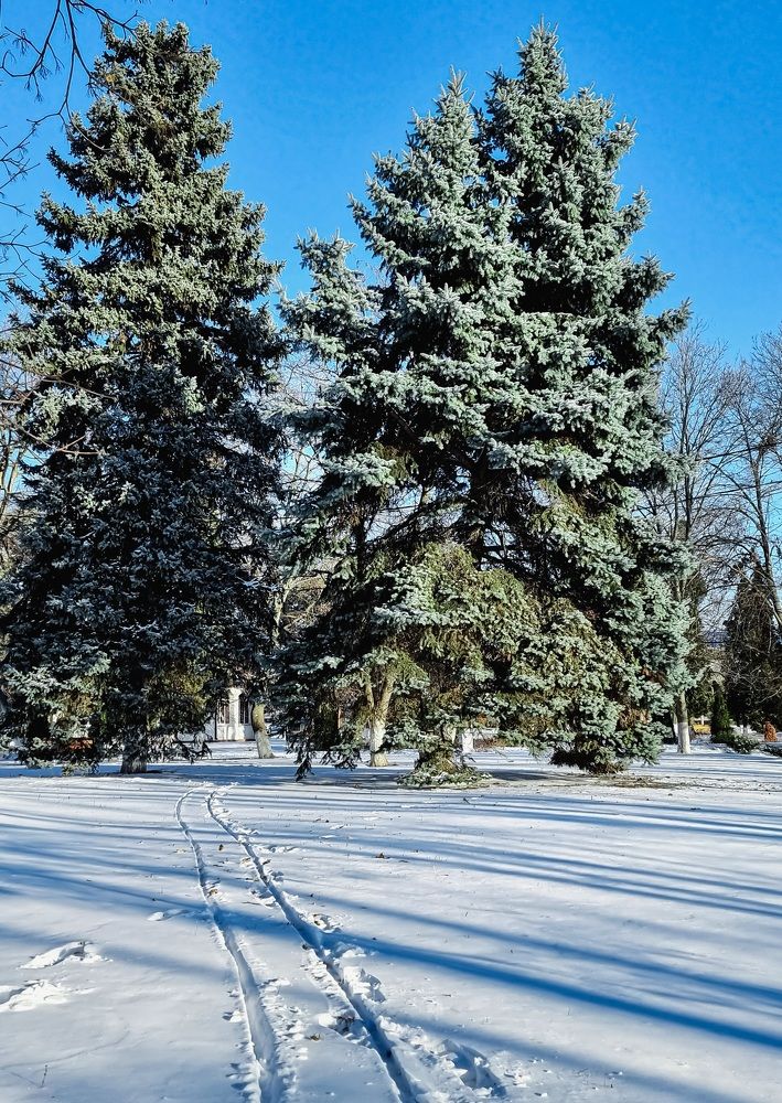 Photograph by Гельфман Галина