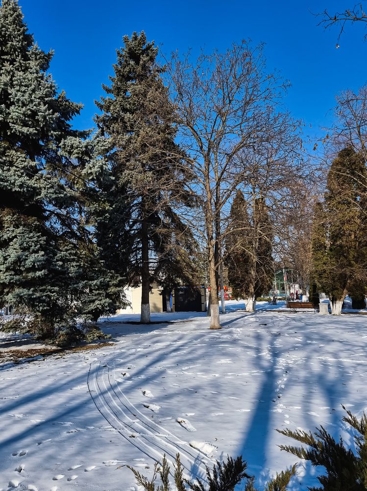 Photograph by Гельфман Галина