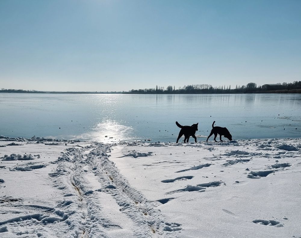 Photograph by Гельфман Галина