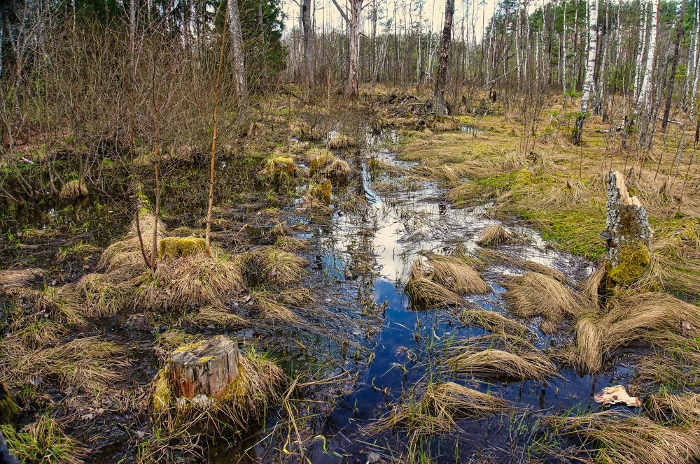 Photograph by TATJANA SKARADEK