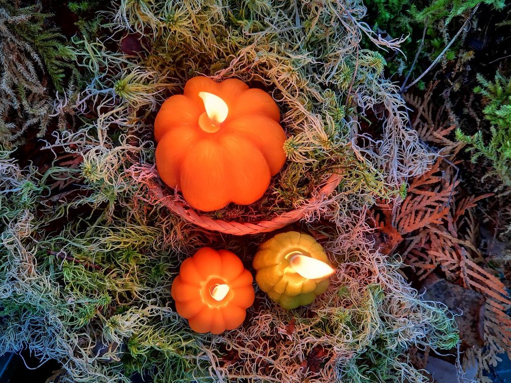 Photograph by Ekaterina Fadeeva