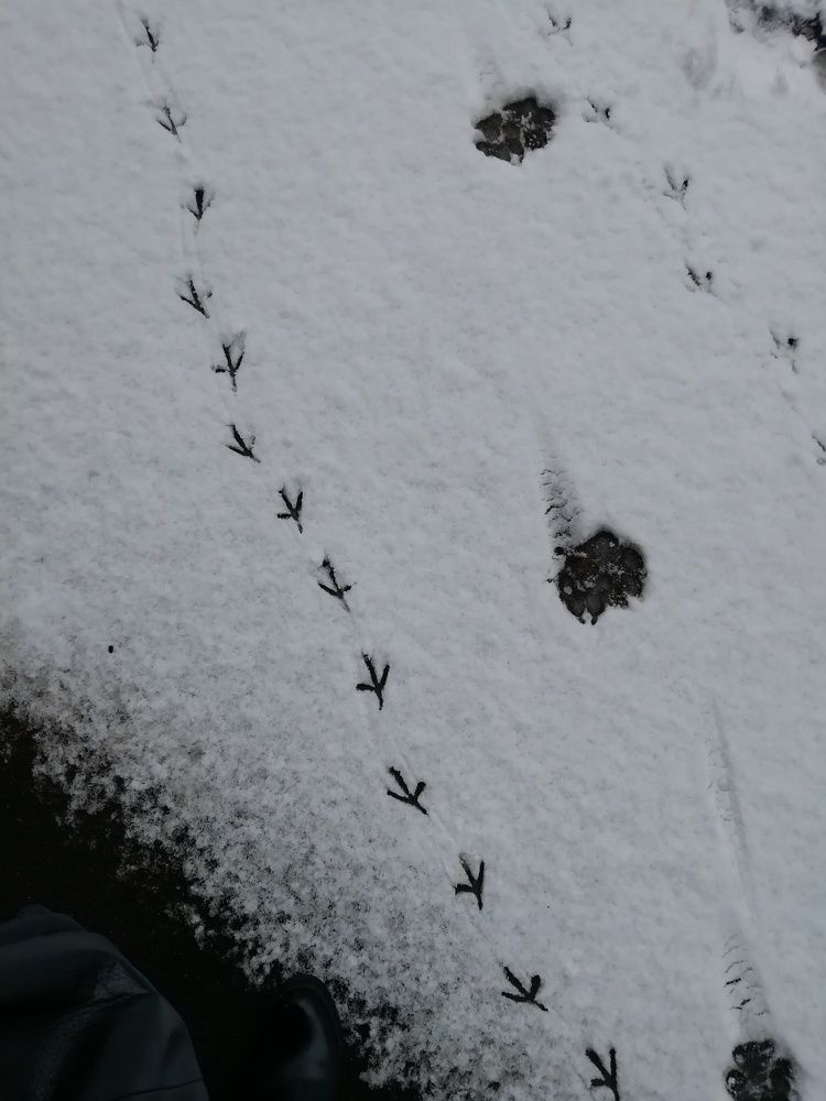 Photograph by Ekaterina Fadeeva