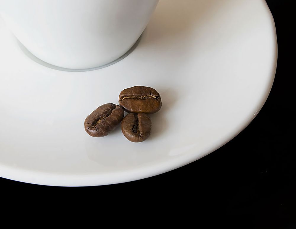 Фотография автора Невмержицкий Валерий