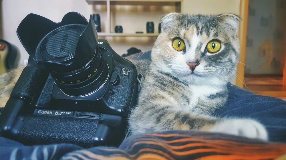 Фотография автора Иван Карпов