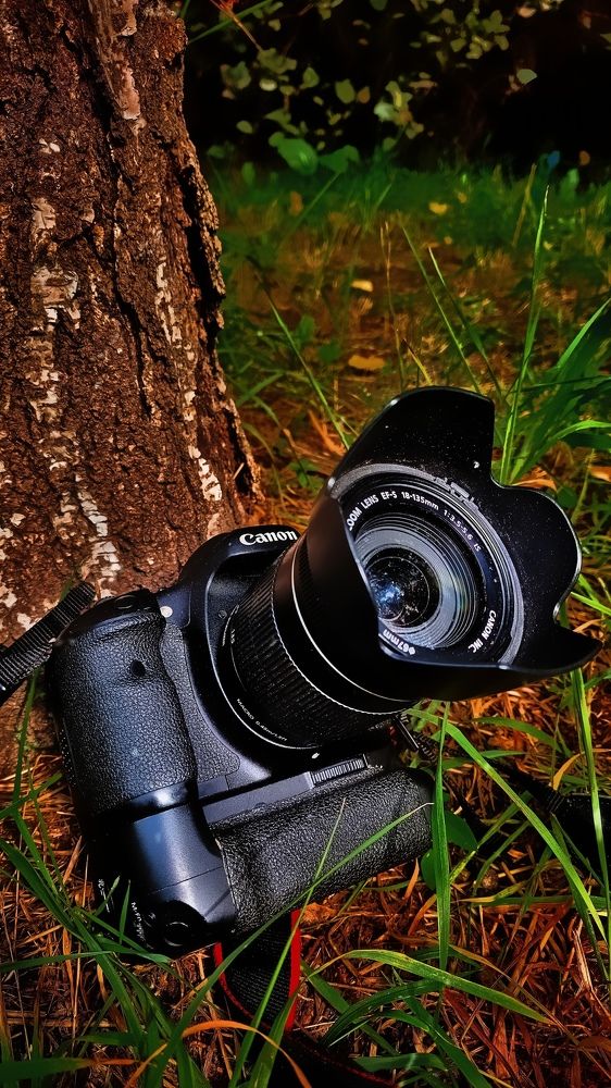 Фотография автора Иван Карпов