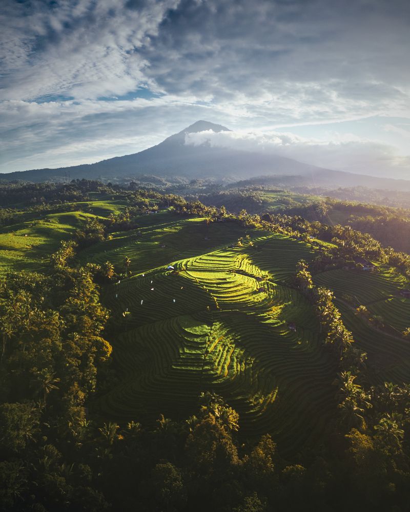 Blimbing Rice Terraces