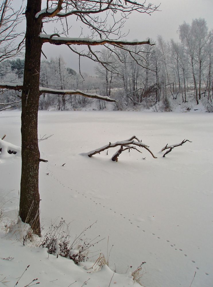 Photograph by Андрей Осмоловский