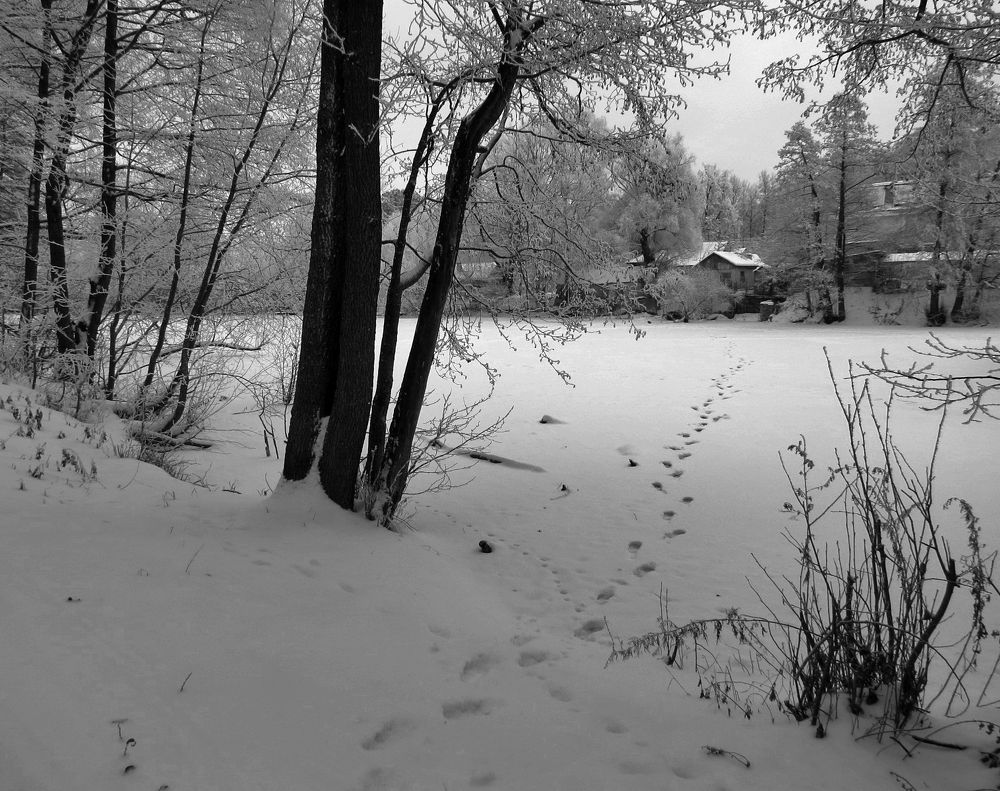 Photograph by Андрей Осмоловский