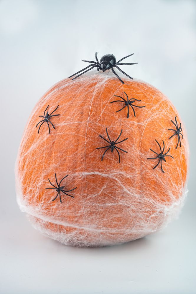 Photograph by Viktor Demyanenko