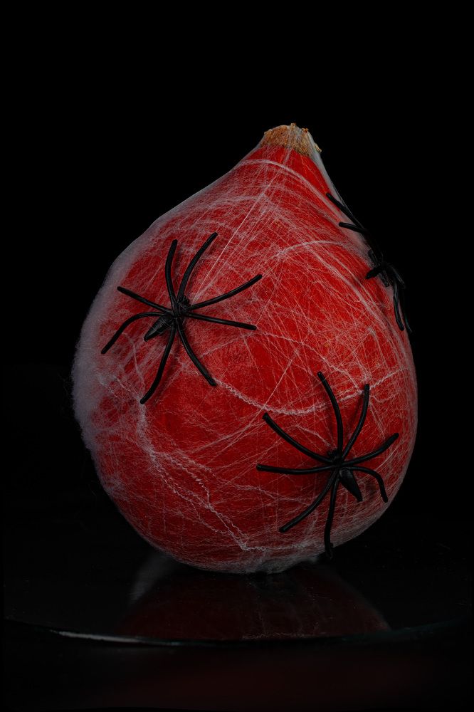 Photograph by Viktor Demyanenko