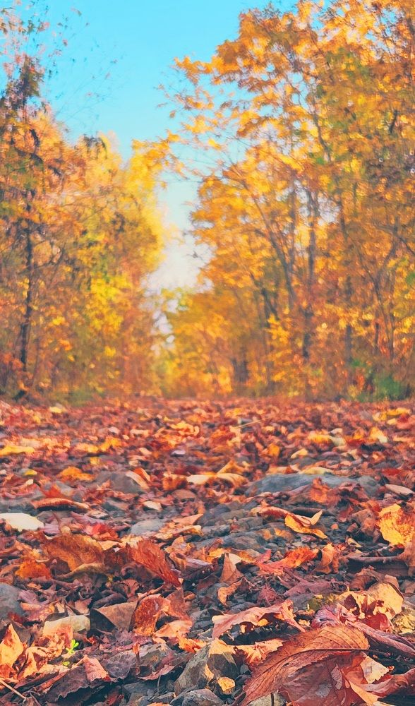 Photograph by Speed Girl