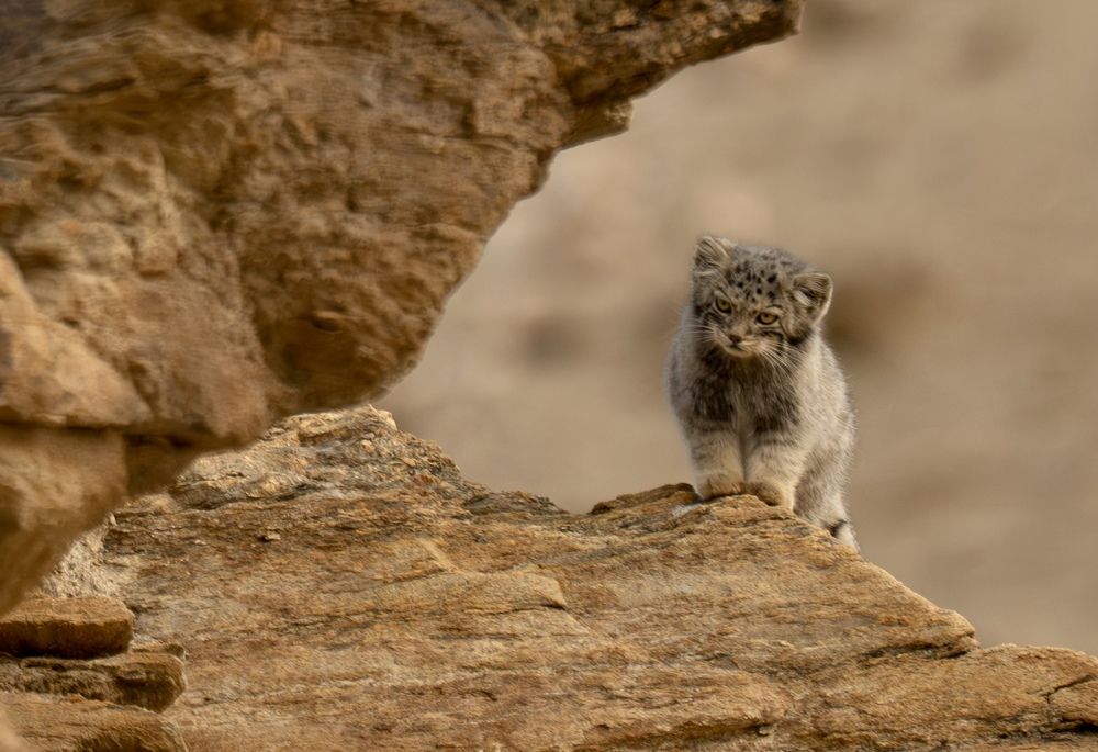 Photograph by Владимир Цветов