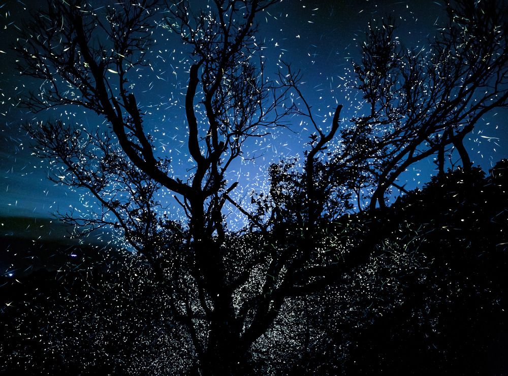 Photograph by Nitin Baste