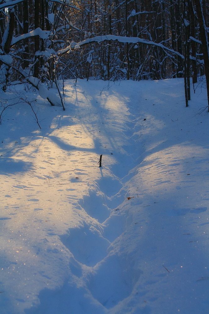 Photograph by Серёга Ануфриев