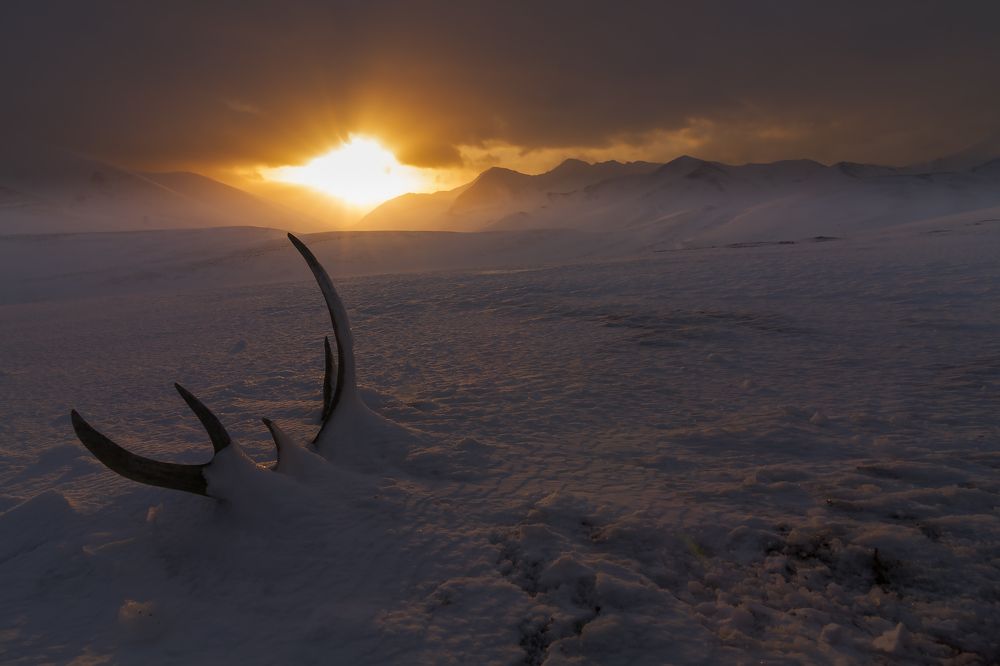 Фотография автора Уткин Дмитрий
