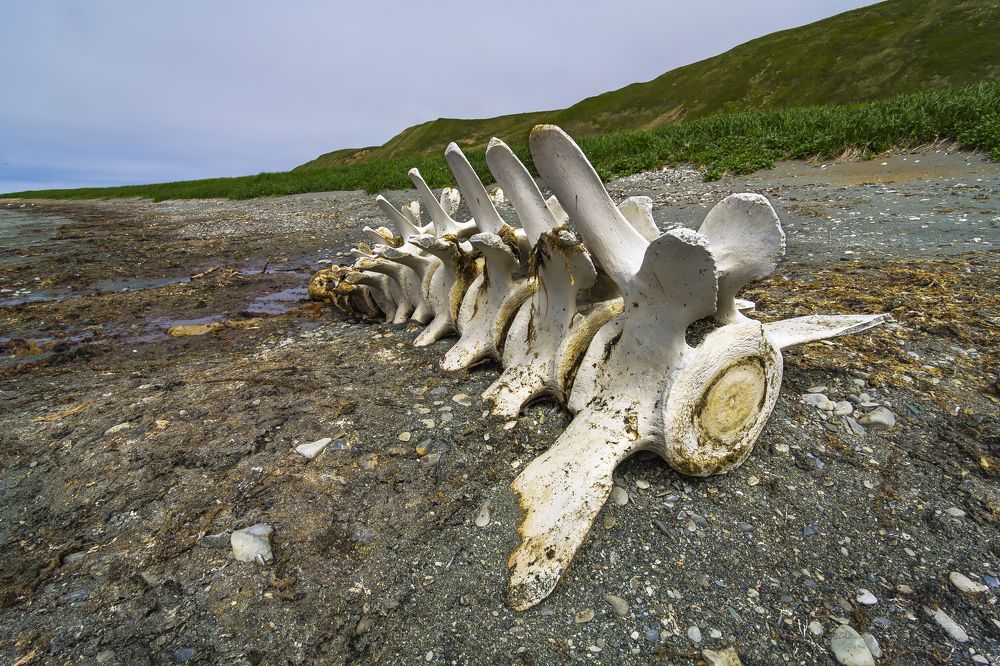 Фотография автора Уткин Дмитрий