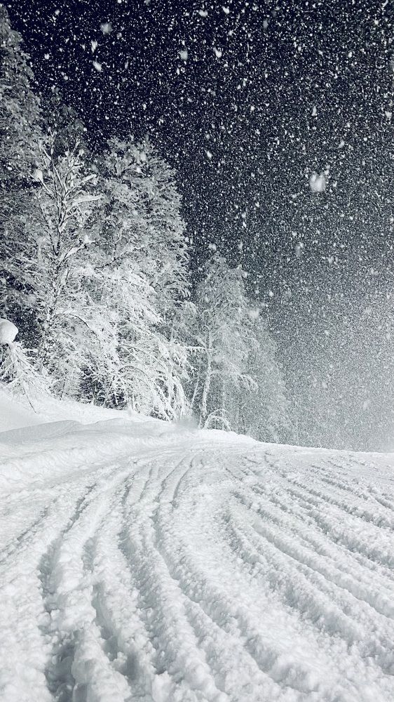 Photograph by Zakhar Lopatin