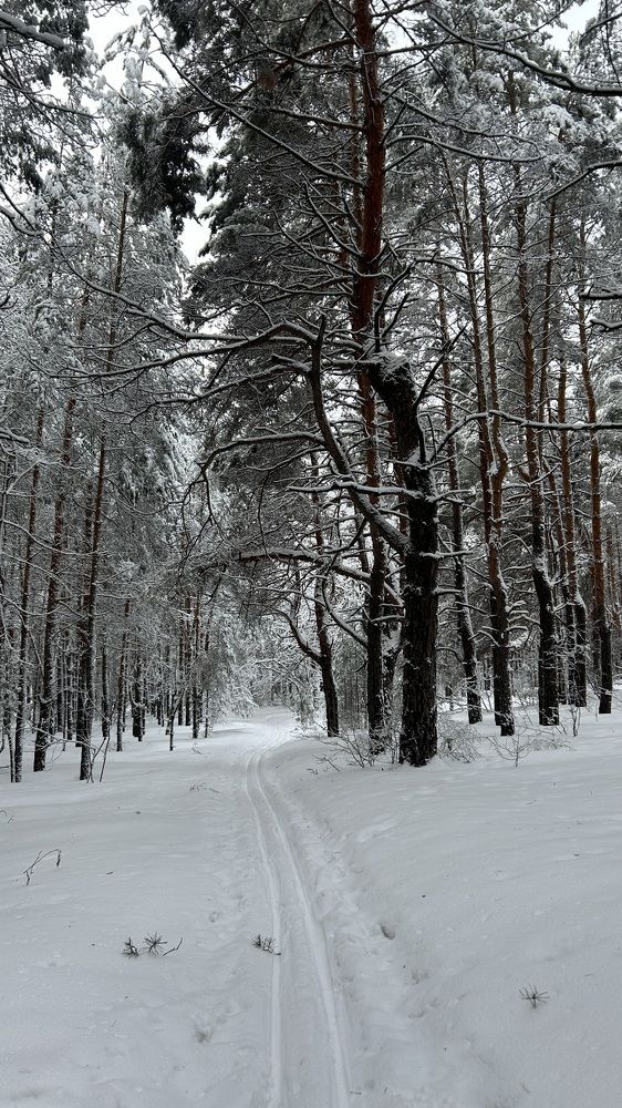 Photograph by Елена Гущина